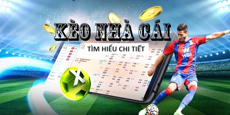 fun88-Chinh phục trận đấu với trực tiếp bóng đá! fun88-Chinh phục trận đấu với trực tiếp bóng đá!